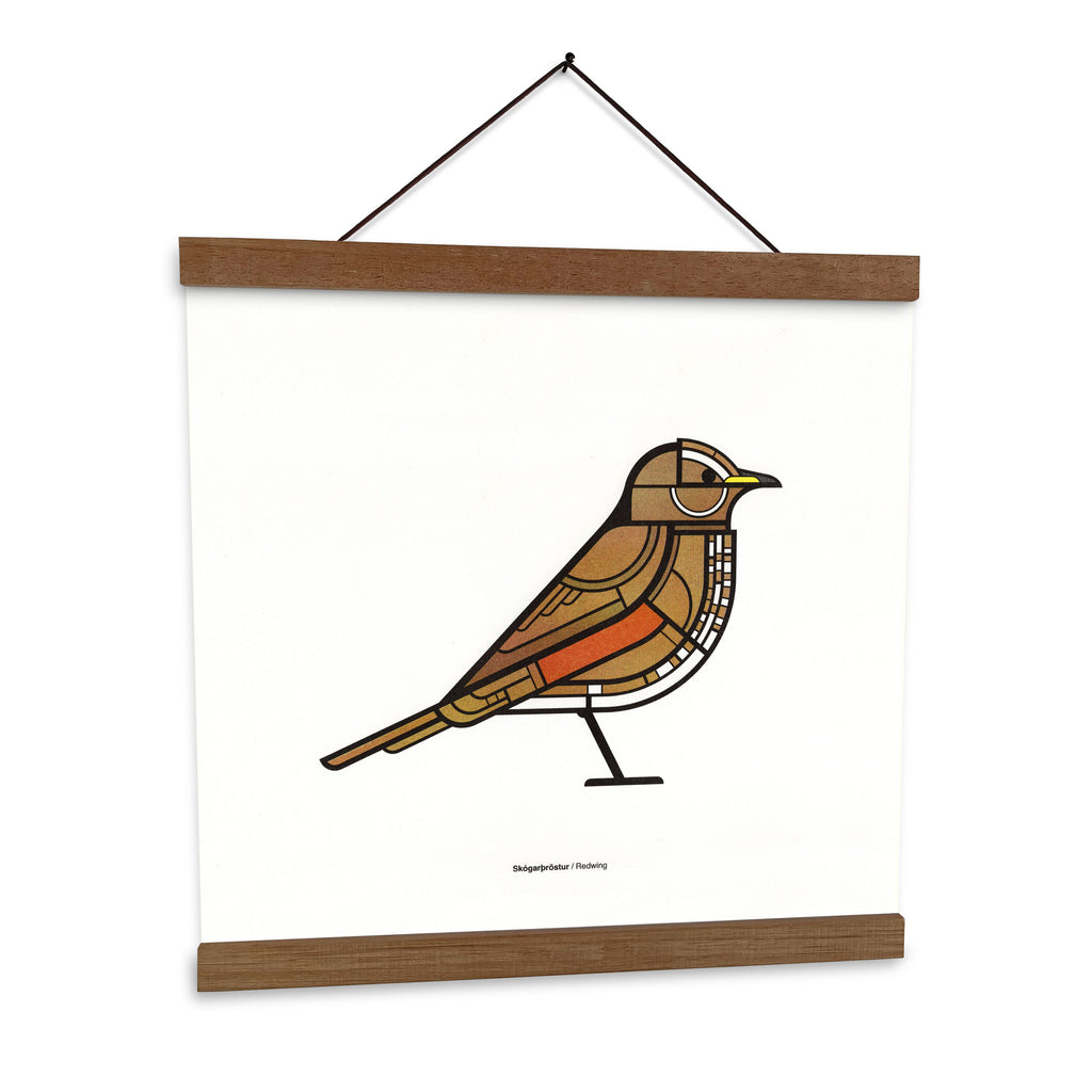 Skógarþröstur 30x30cm