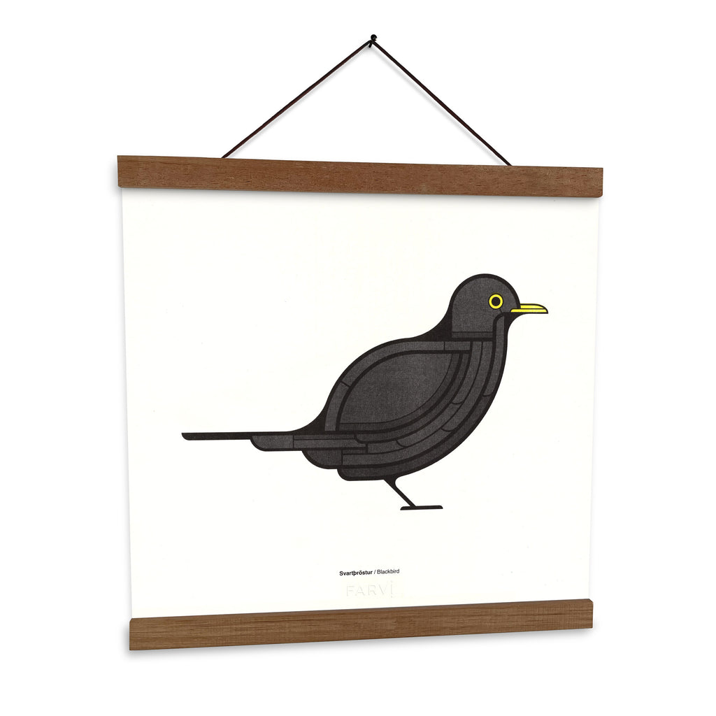 Svartþröstur - 30x30cm