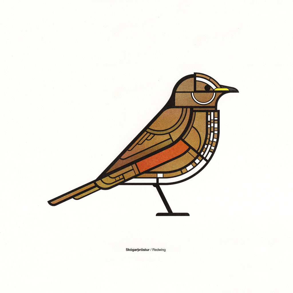 Skógarþröstur 30x30cm