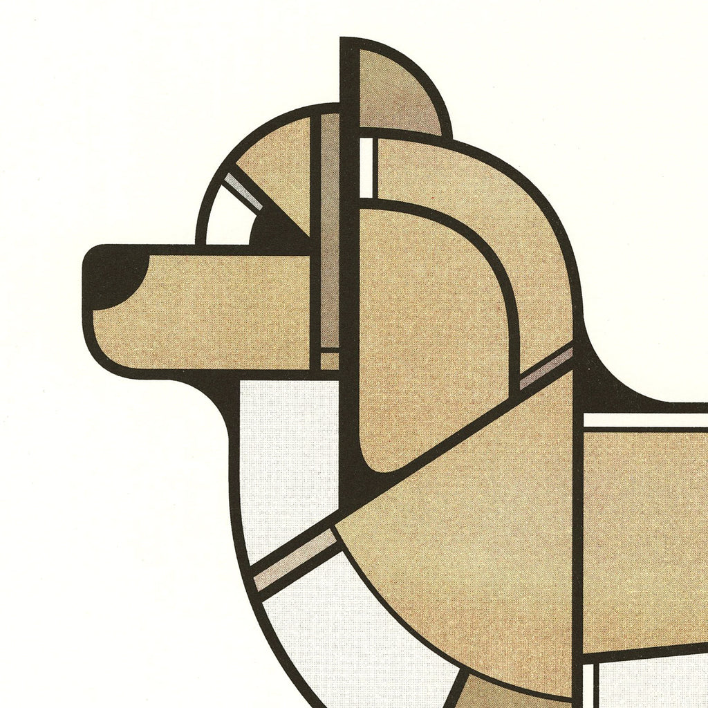 Íslenski fjárhundurinn