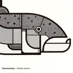 Atlantshafslax